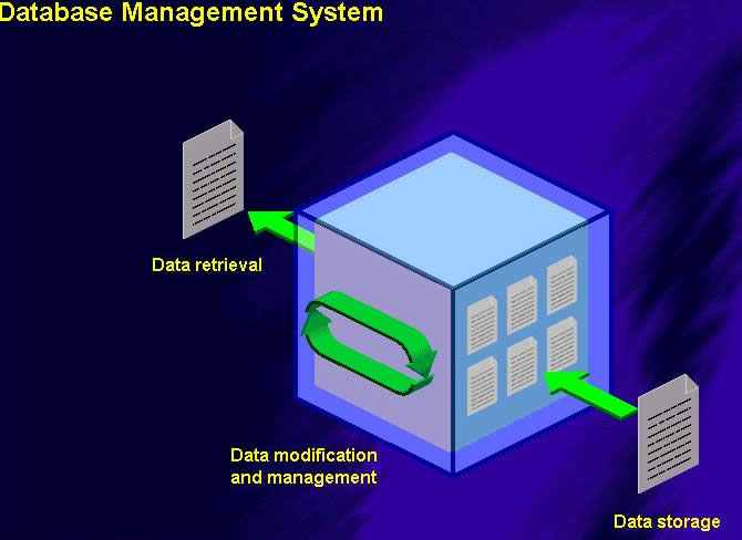 1.4.3 Manejador de Bases de Datos